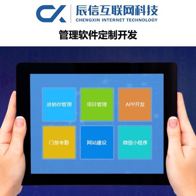 辰信互聯網科技 專業企業軟件開發，驅動數字化未來